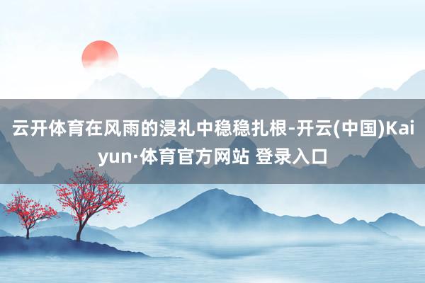 云開體育在風(fēng)雨的浸禮中穩(wěn)穩(wěn)扎根-開云(中國(guó))Kaiyun·體育官方網(wǎng)站 登錄入口